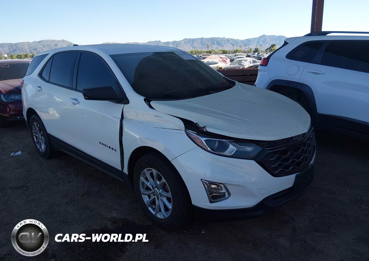 2019 Chevrolet Equinox Ls VIN:2GNAXSEV1K6191414 - 6