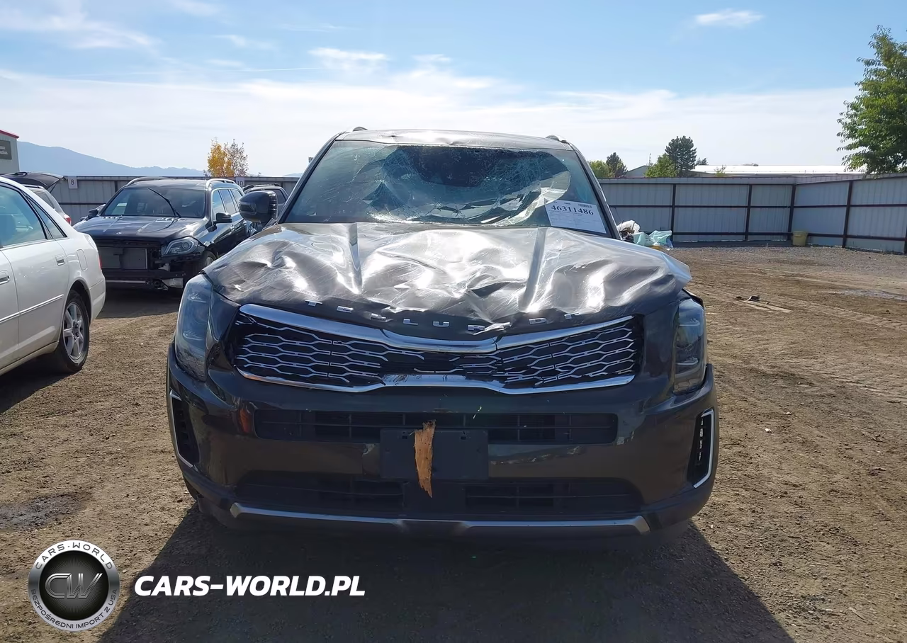 2020 Kia Telluride Ex VIN:5XYP3DHC9LG022220 - 13