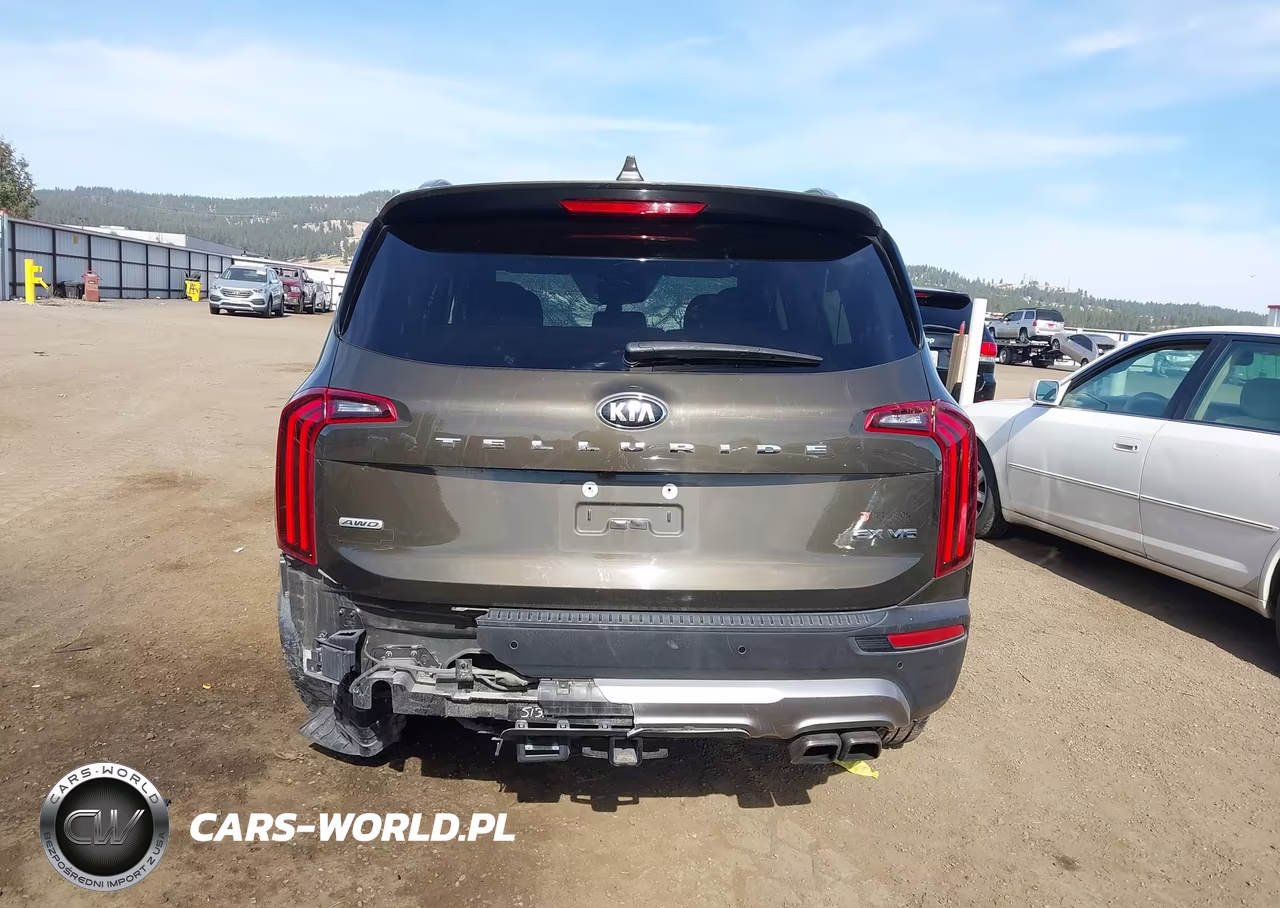2020 Kia Telluride Ex VIN:5XYP3DHC9LG022220 - 17