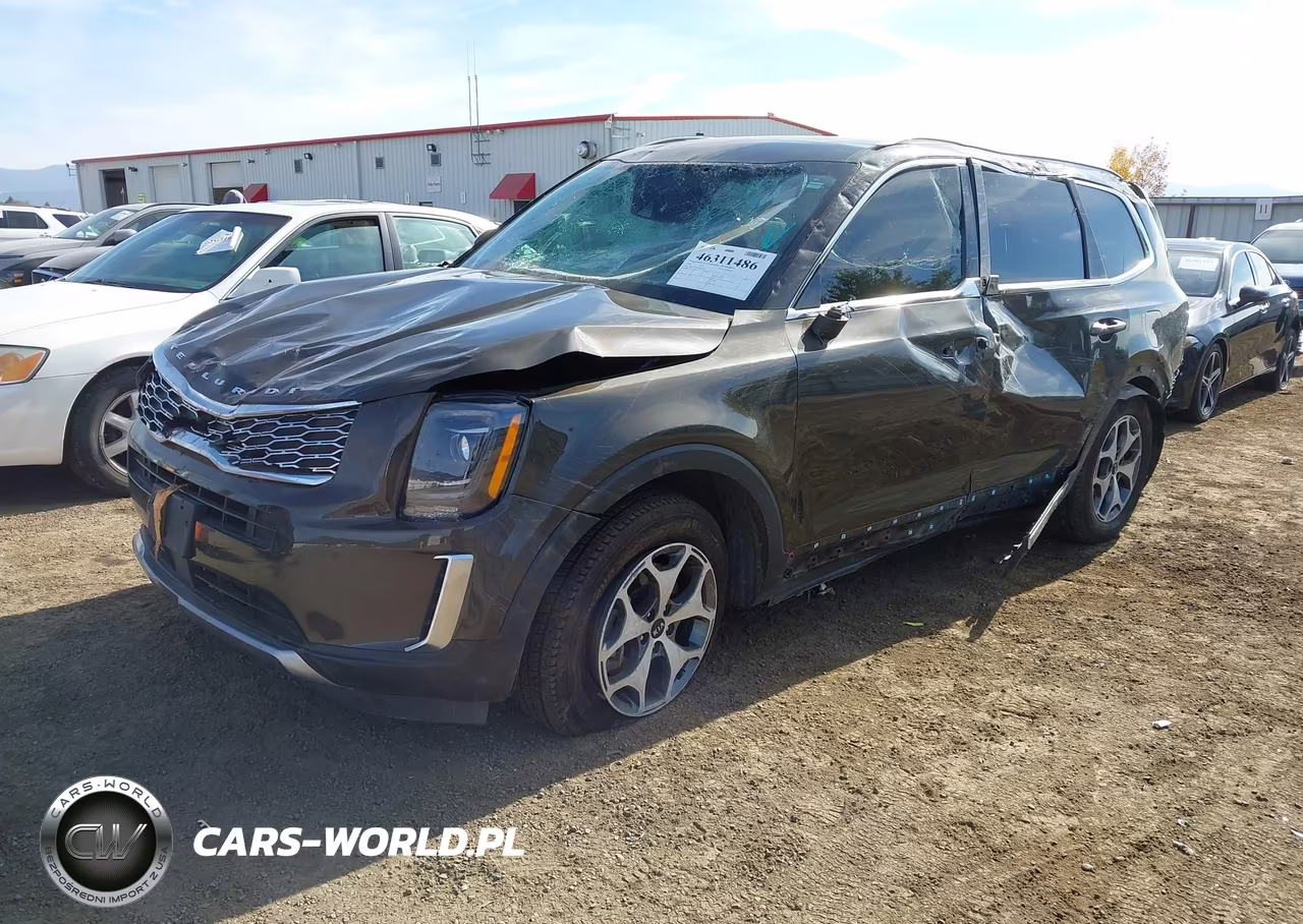 2020 Kia Telluride Ex VIN:5XYP3DHC9LG022220 - 2