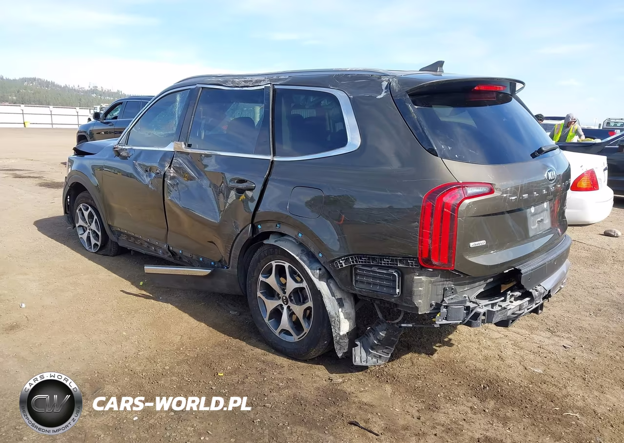2020 Kia Telluride Ex VIN:5XYP3DHC9LG022220 - 3
