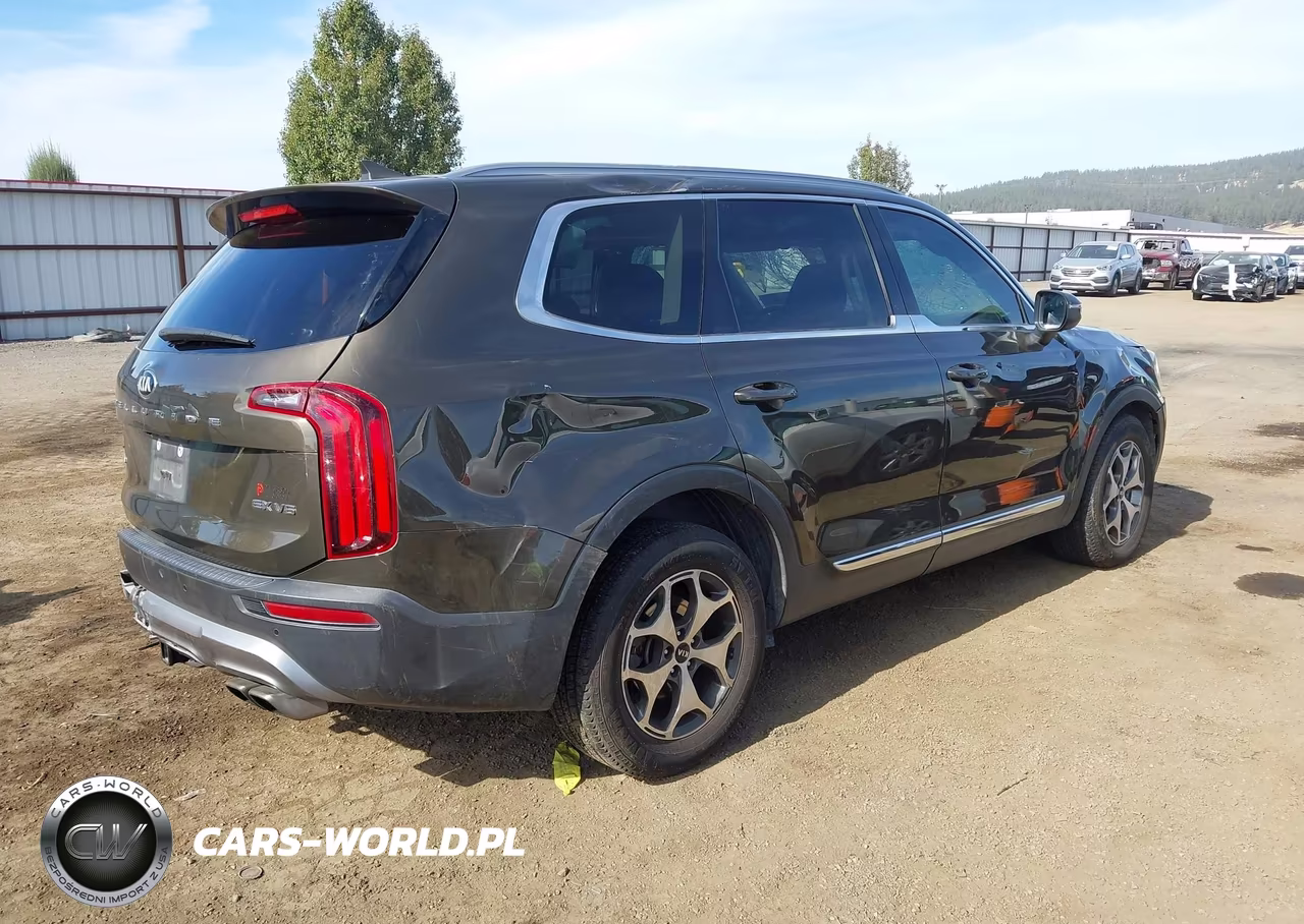 2020 Kia Telluride Ex VIN:5XYP3DHC9LG022220 - 4