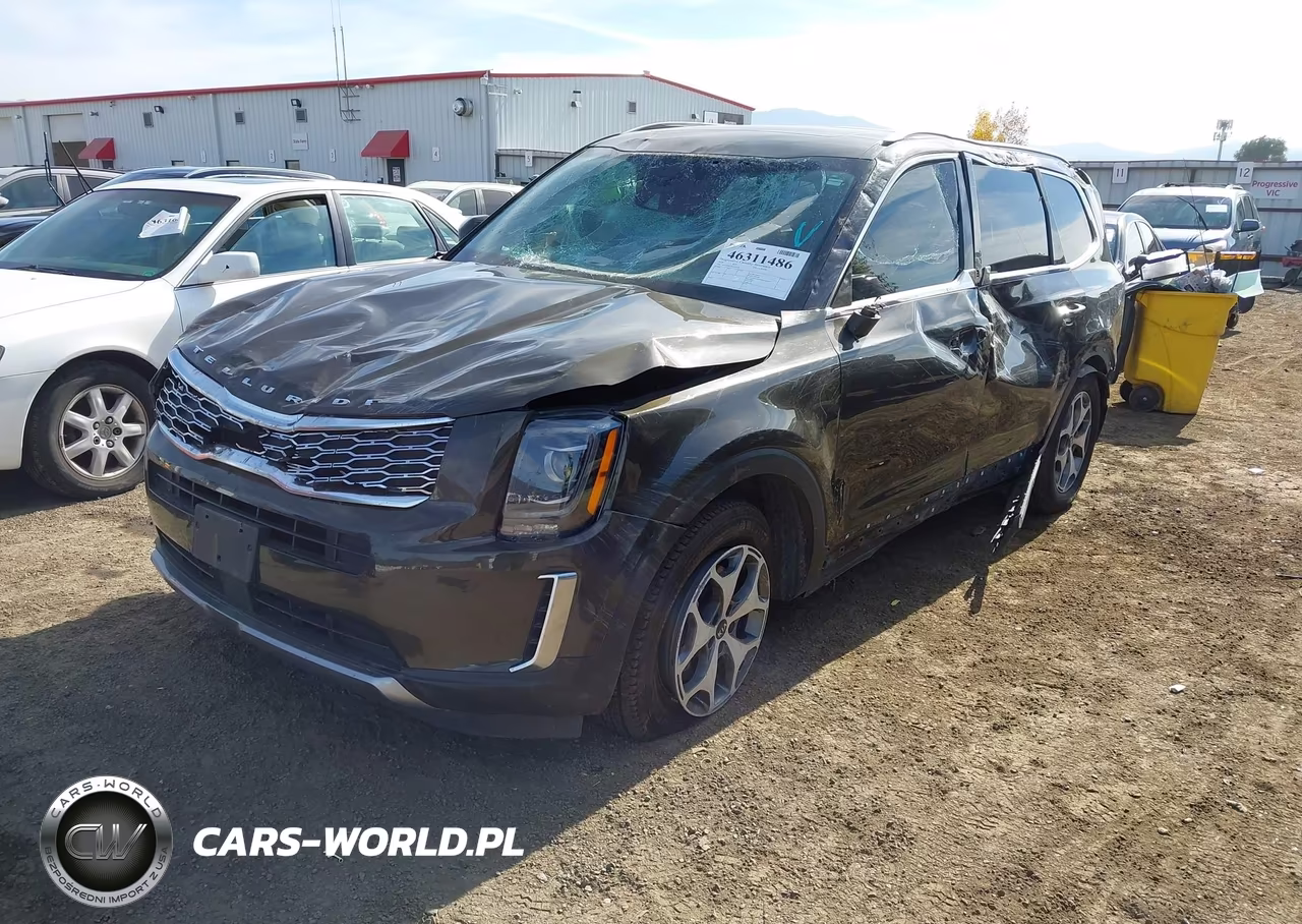2020 Kia Telluride Ex VIN:5XYP3DHC9LG022220 - 6