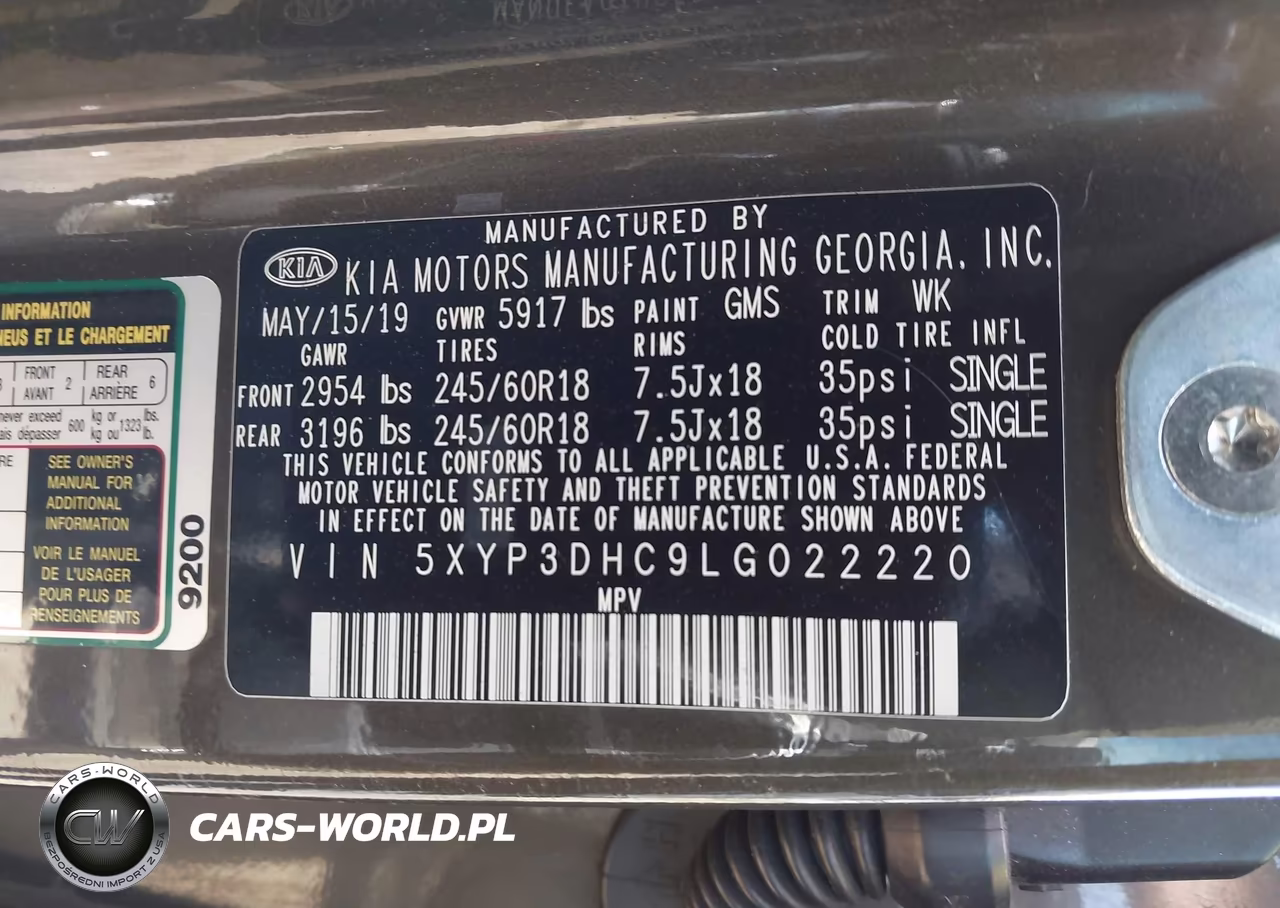 2020 Kia Telluride Ex VIN:5XYP3DHC9LG022220 - 9