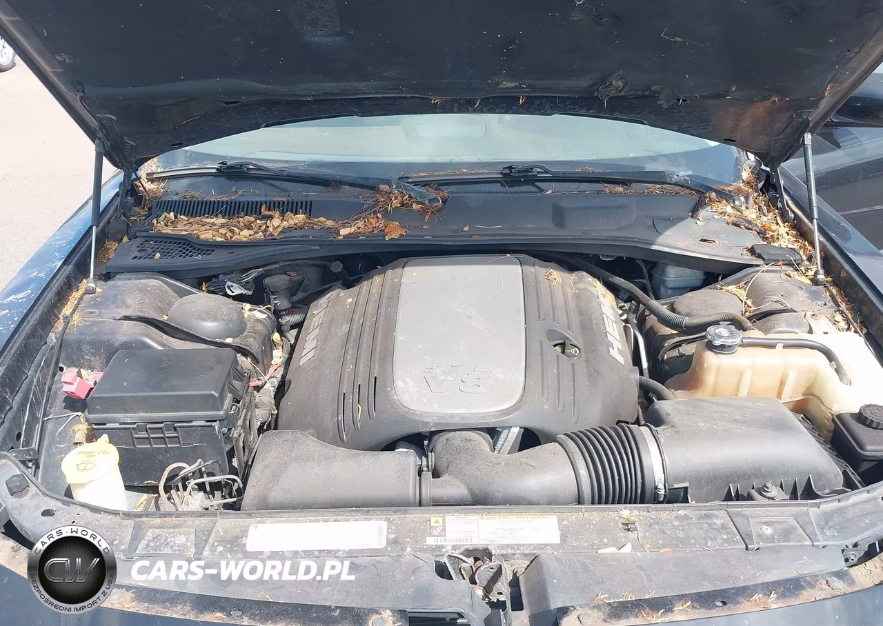 2009 Dodge Charger R-T VIN:2B3KA53T59H545176 - 10