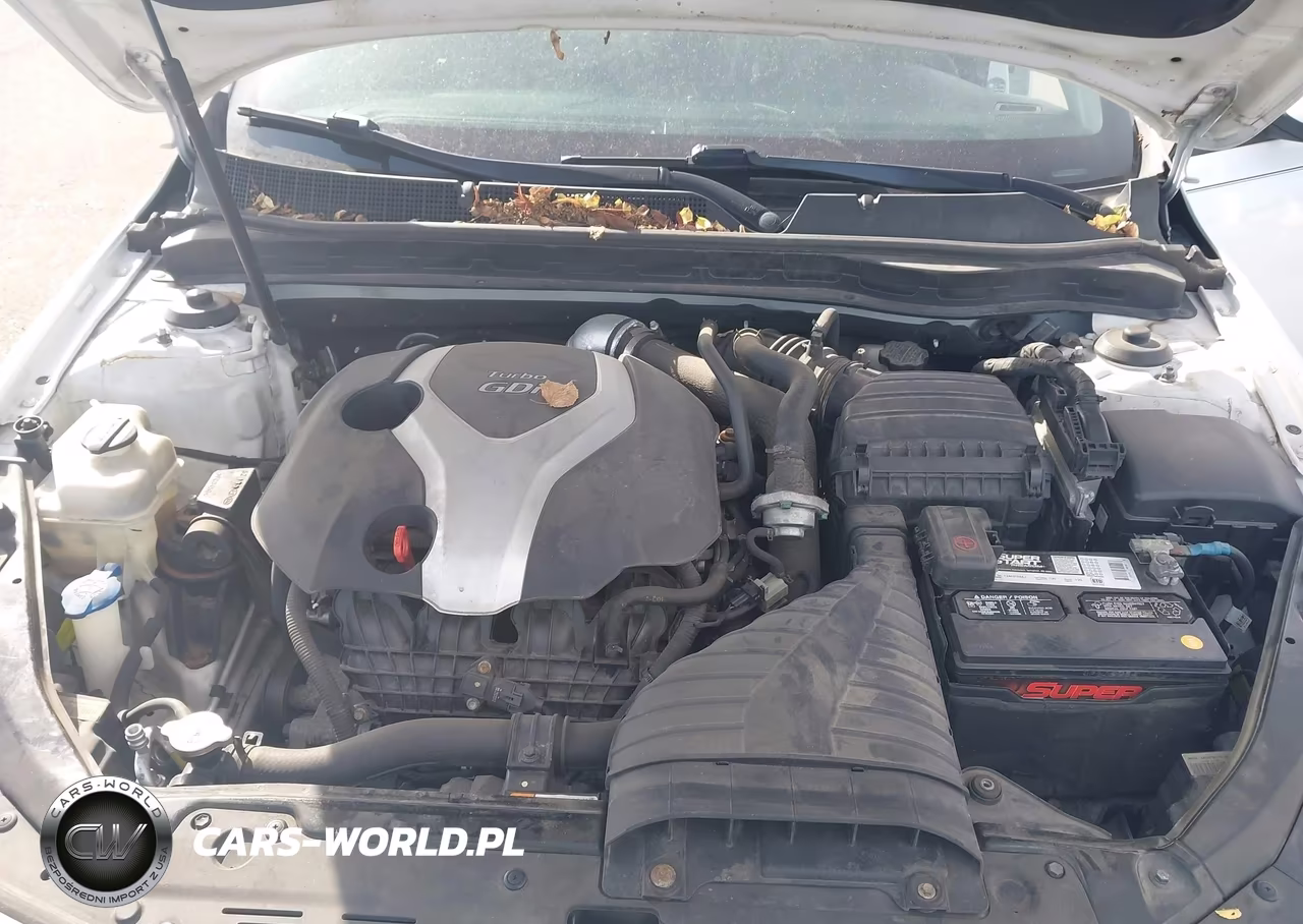 2014 Kia Optima Sx Turbo VIN:5XXGR4A6XEG263553 - 10