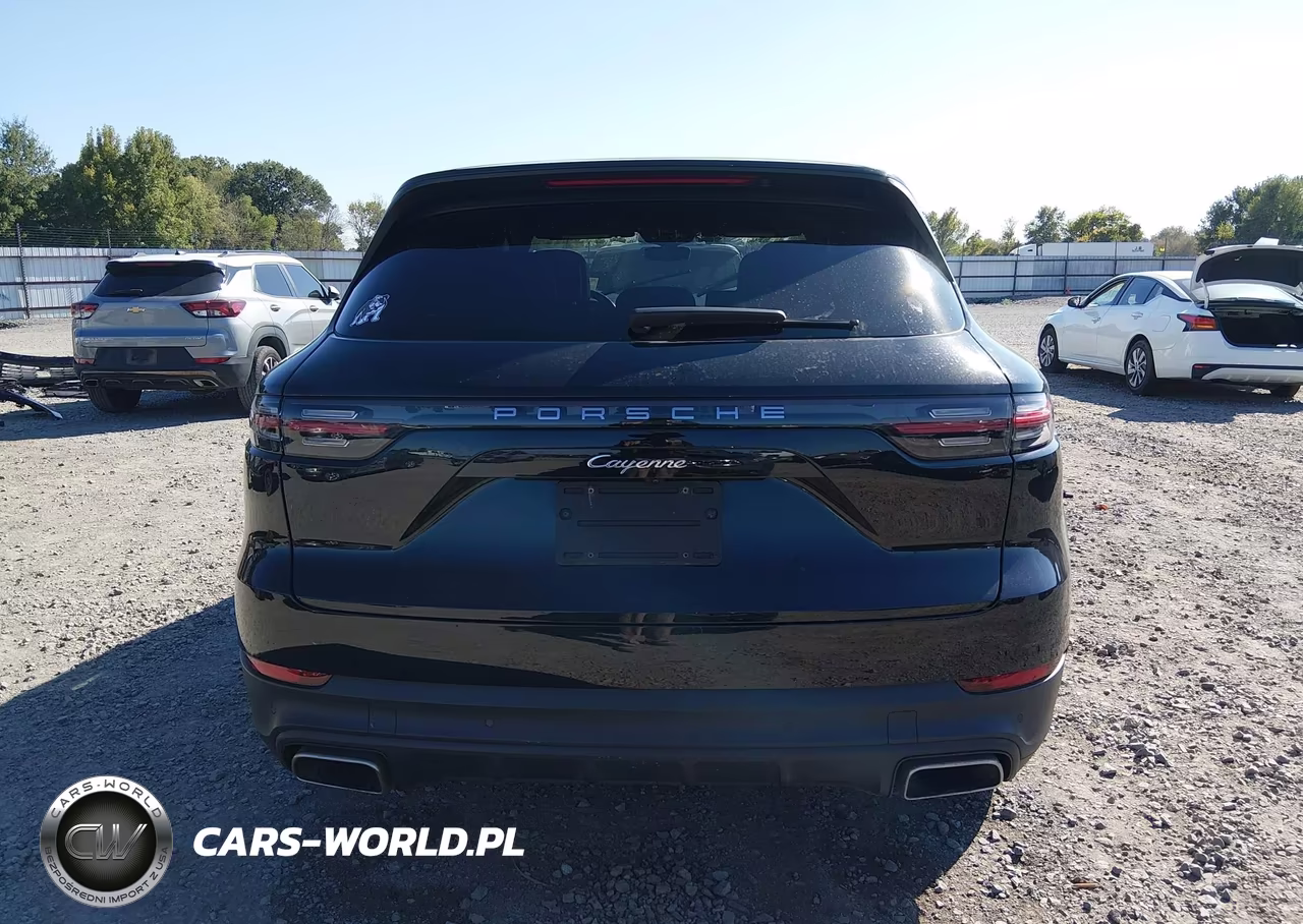 2020 Porsche Cayenne VIN:WP1AA2AY9LDA03637 - 17
