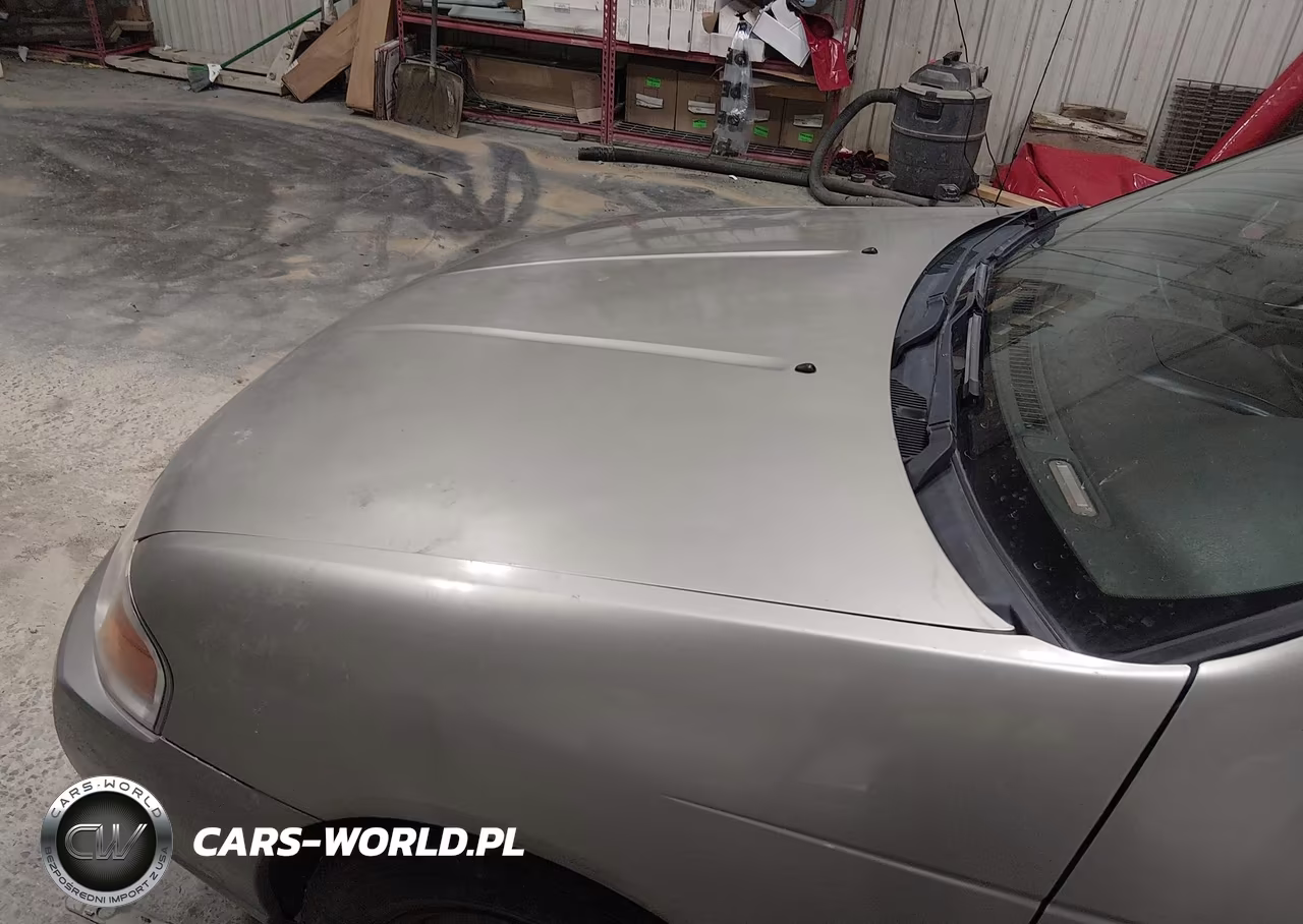 2004 Nissan Sentra 1.8S VIN:3N1CB51D44L919081 - 10