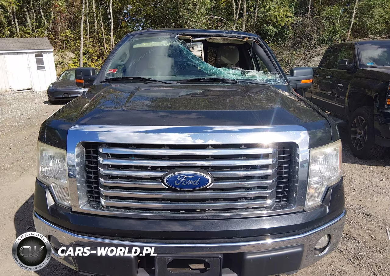 2010 Ford F-150 Fx4-Lariat-Xl-Xlt VIN:1FTFX1EV5AFD69791 - 12