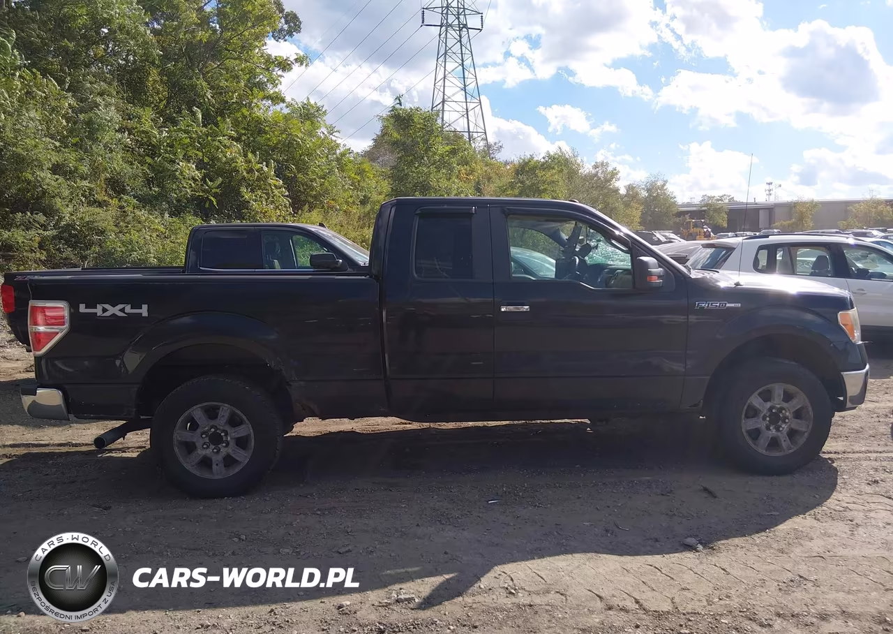 2010 Ford F-150 Fx4-Lariat-Xl-Xlt VIN:1FTFX1EV5AFD69791 - 13