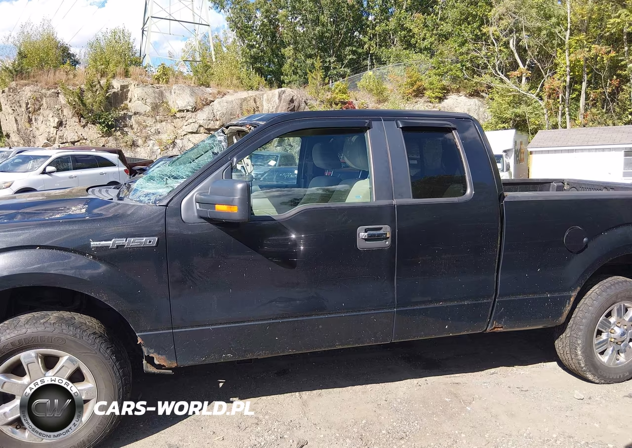 2010 Ford F-150 Fx4-Lariat-Xl-Xlt VIN:1FTFX1EV5AFD69791 - 14