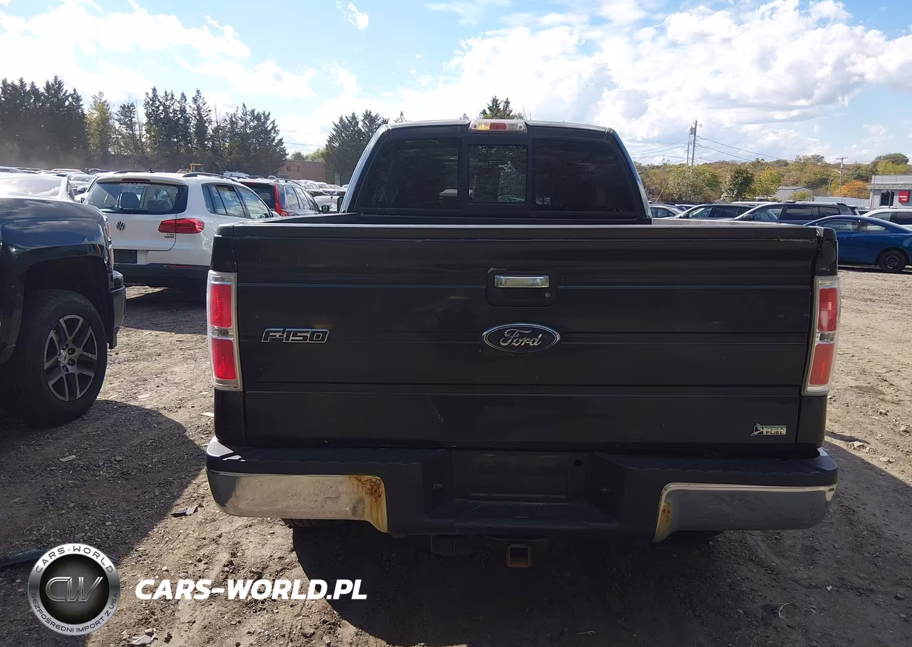 2010 Ford F-150 Fx4-Lariat-Xl-Xlt VIN:1FTFX1EV5AFD69791 - 16