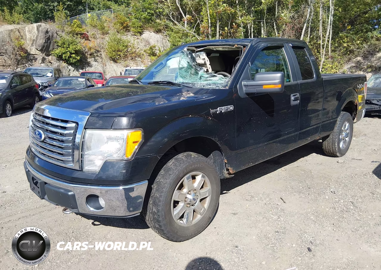 2010 Ford F-150 Fx4-Lariat-Xl-Xlt VIN:1FTFX1EV5AFD69791 - 2