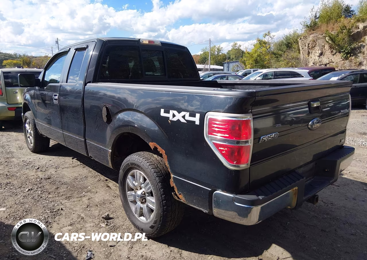 2010 Ford F-150 Fx4-Lariat-Xl-Xlt VIN:1FTFX1EV5AFD69791 - 3