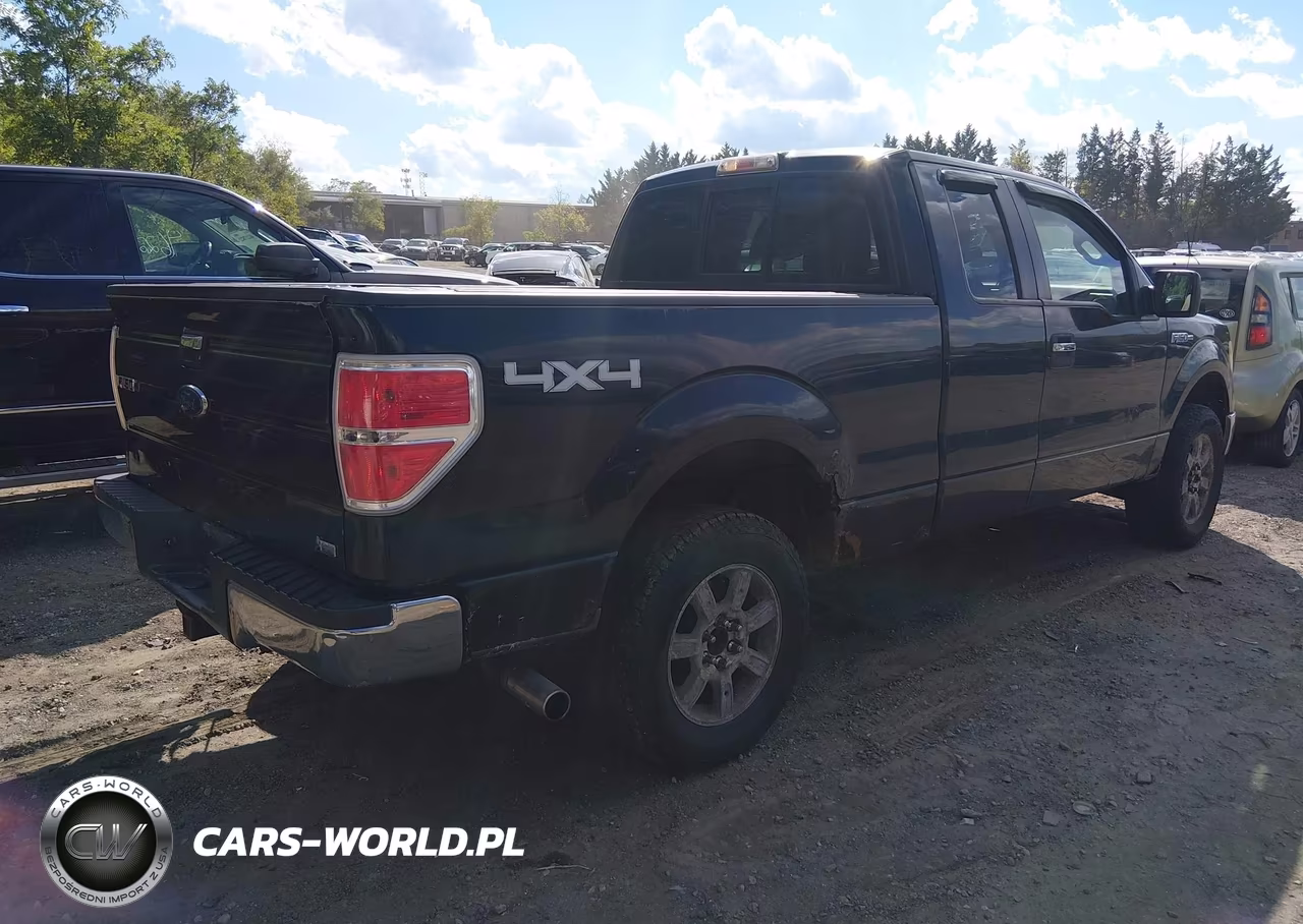 2010 Ford F-150 Fx4-Lariat-Xl-Xlt VIN:1FTFX1EV5AFD69791 - 4