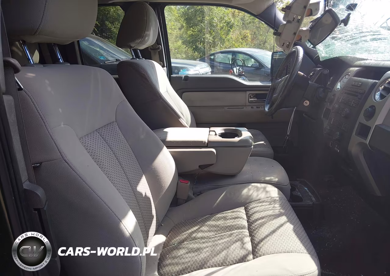 2010 Ford F-150 Fx4-Lariat-Xl-Xlt VIN:1FTFX1EV5AFD69791 - 5
