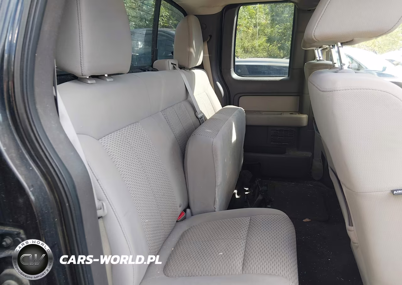 2010 Ford F-150 Fx4-Lariat-Xl-Xlt VIN:1FTFX1EV5AFD69791 - 8