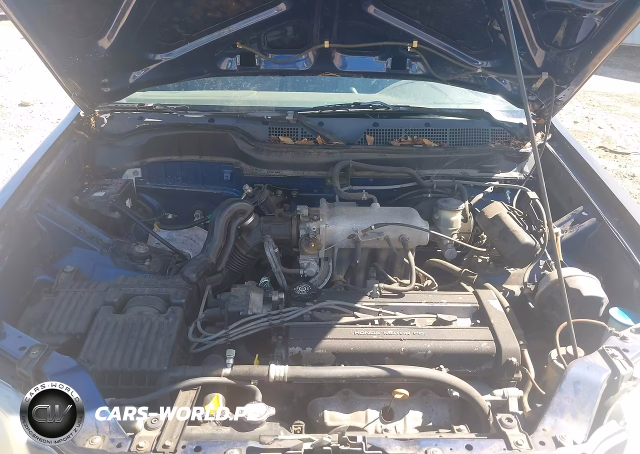 1998 Honda Cr-V Lx VIN:JHLRD1844WC105417 - 10