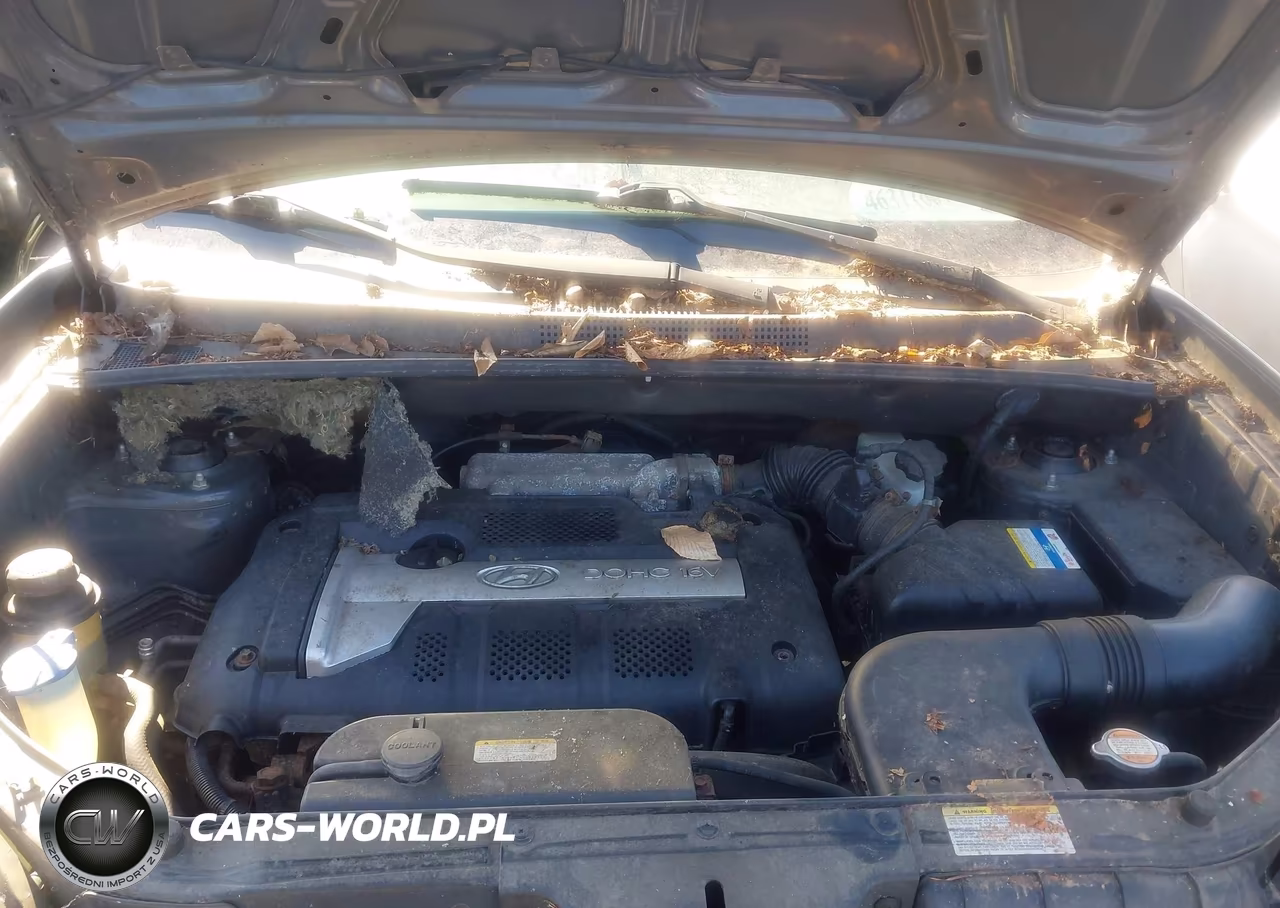 2007 Hyundai Tucson Gls VIN:KM8JM12B97U562958 - 10
