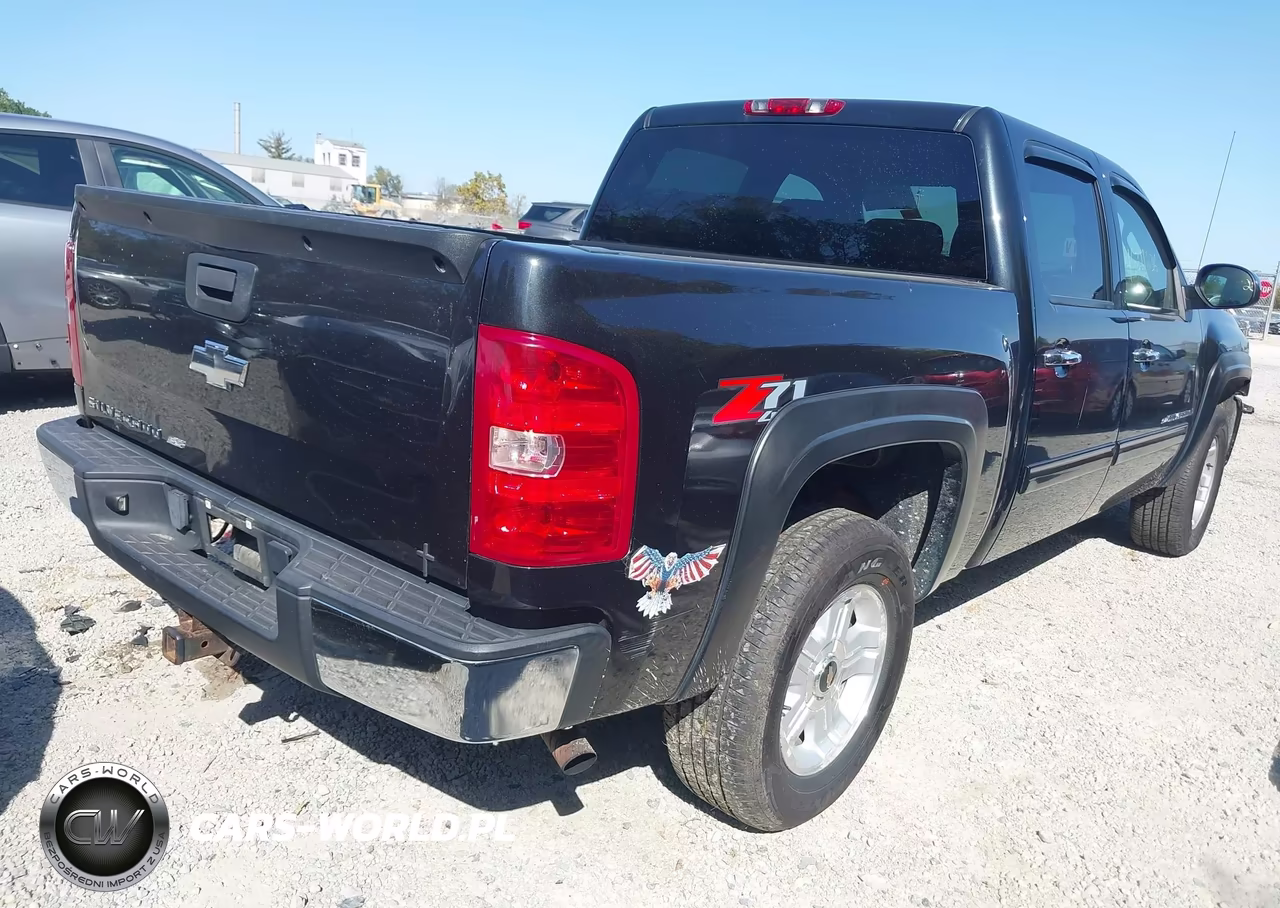 2009 Chevrolet Silverado 1500 Lt VIN:3GCEK23M19G250169 - 4