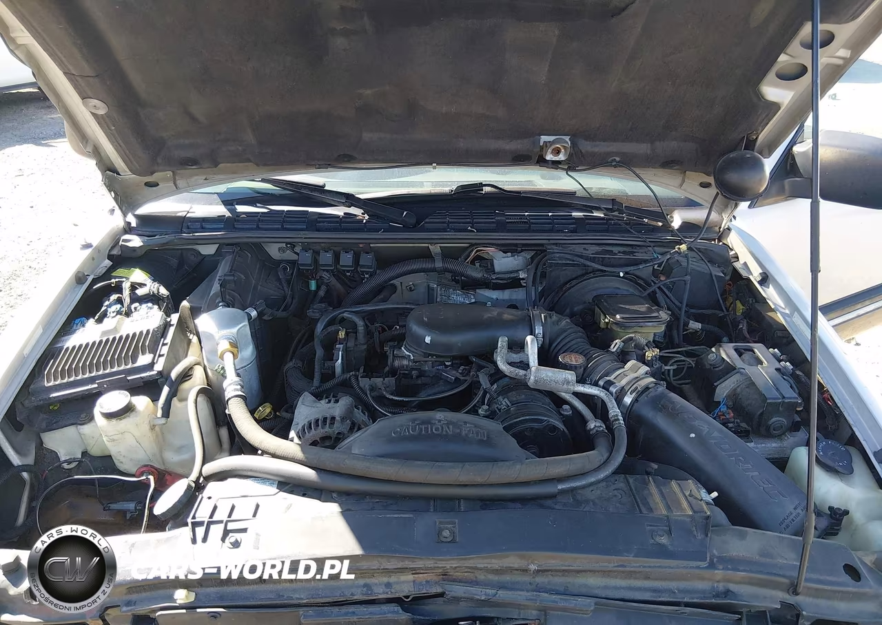 1997 Chevrolet T10 Ls Sportside VIN:1GCDT19X2V8175969 - 10