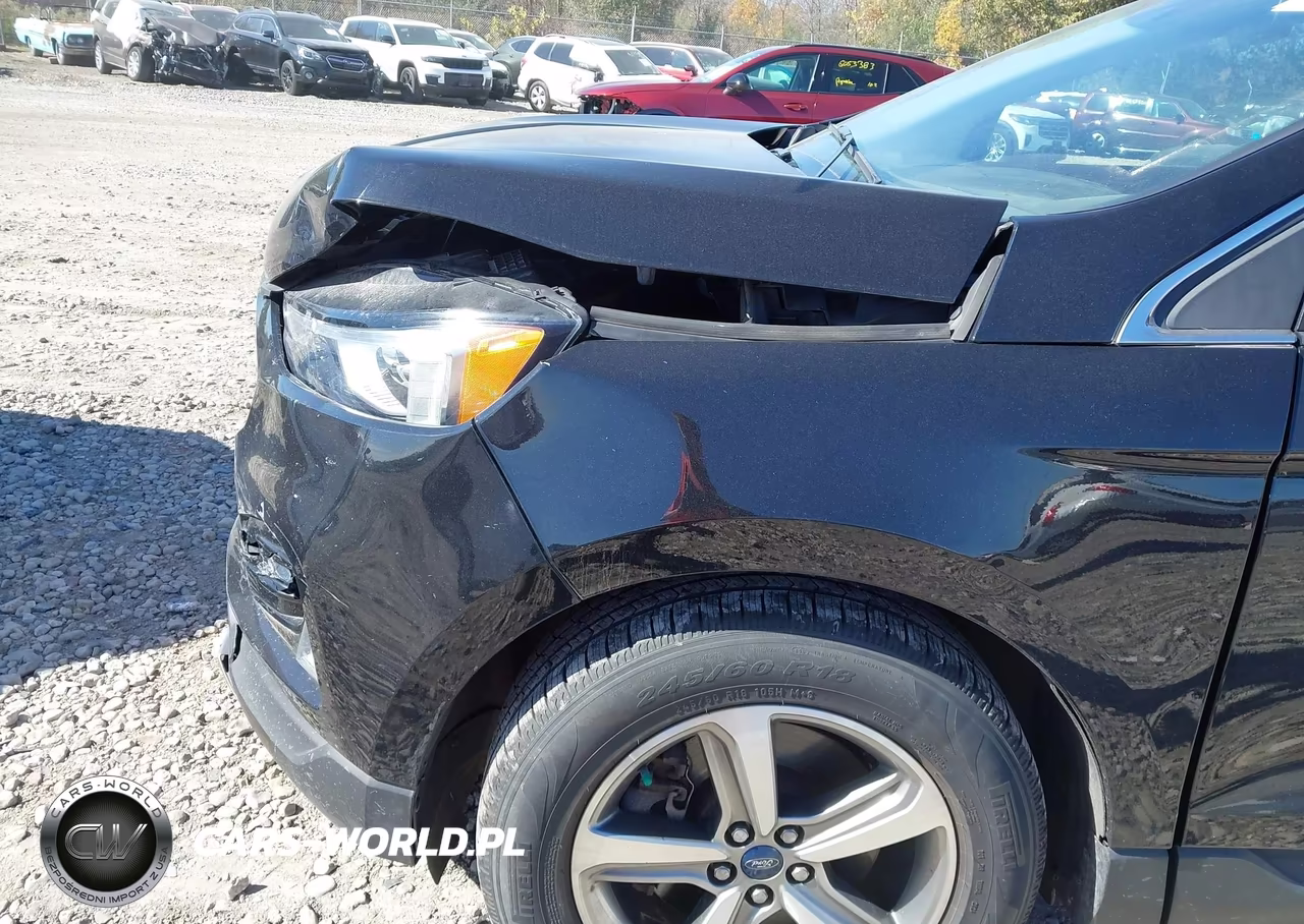 2019 Ford Edge Sel VIN:2FMPK4J97KBB13258 - 20