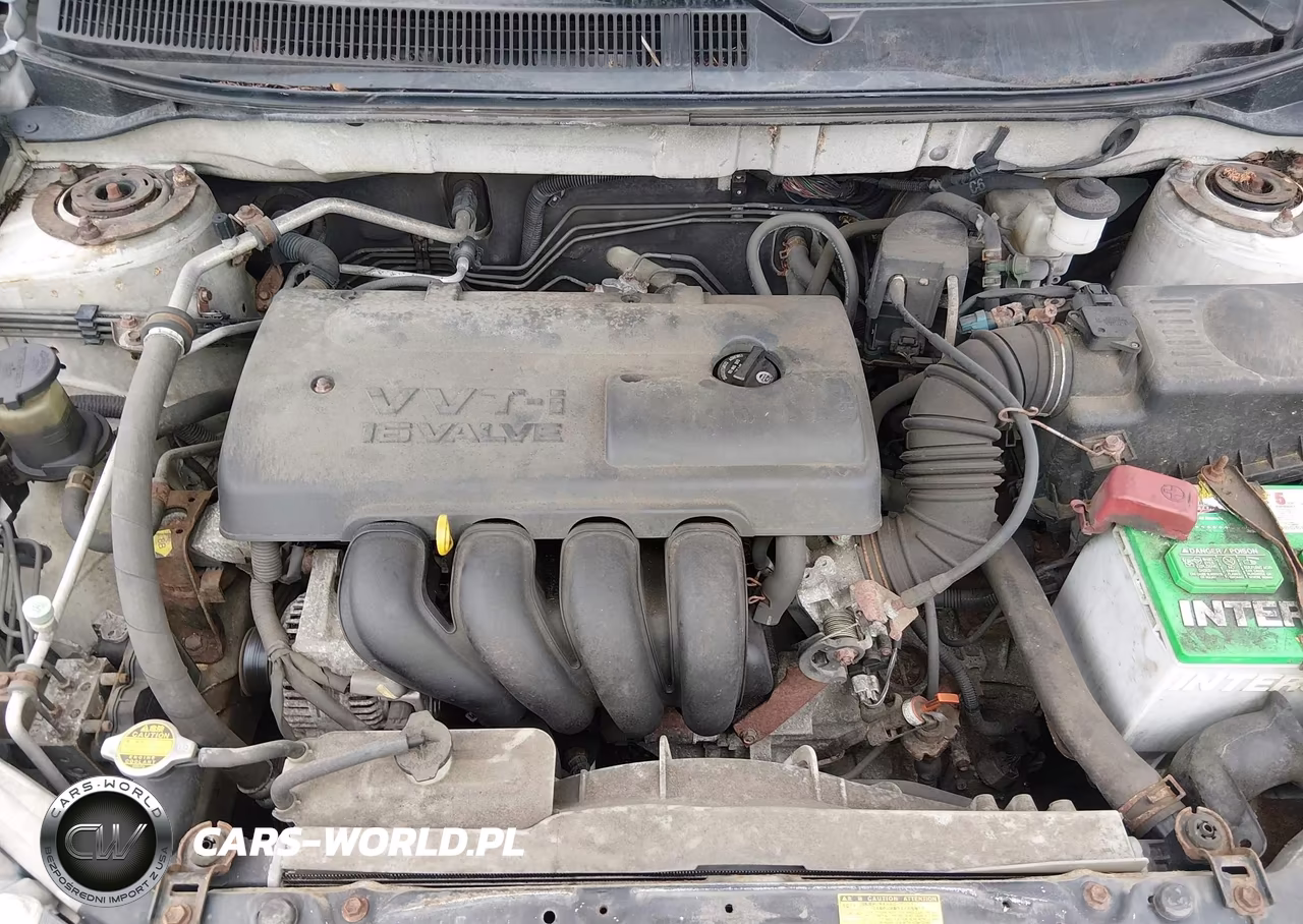 2004 Pontiac Vibe VIN:5Y2SL628X4Z462945 - 10