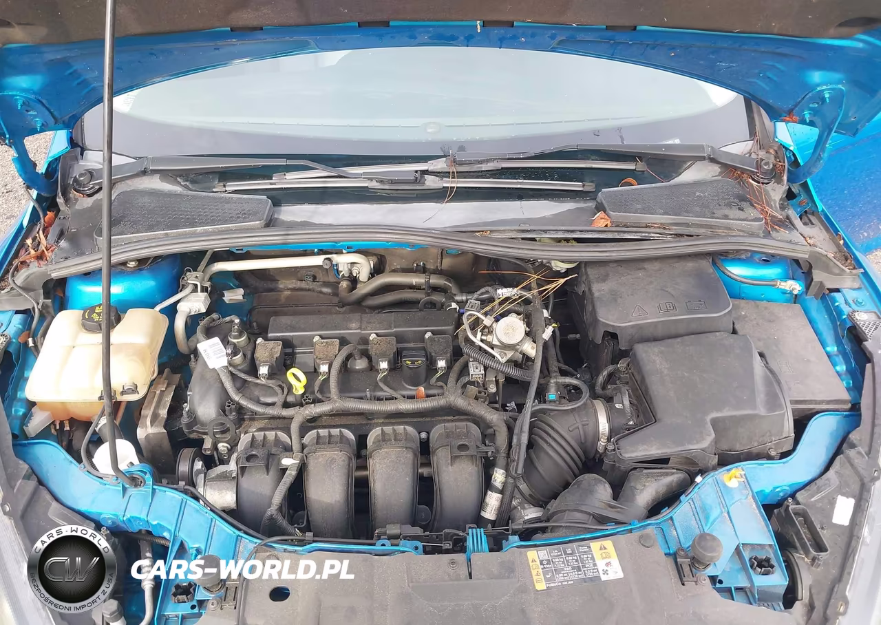 2016 Ford Focus Se VIN:1FADP3K24GL376177 - 10