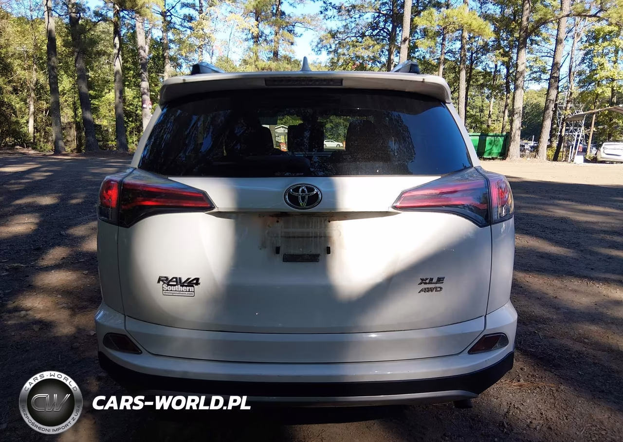 2018 Toyota Rav4 Xle VIN:JTMRFREV3JJ716952 - 16
