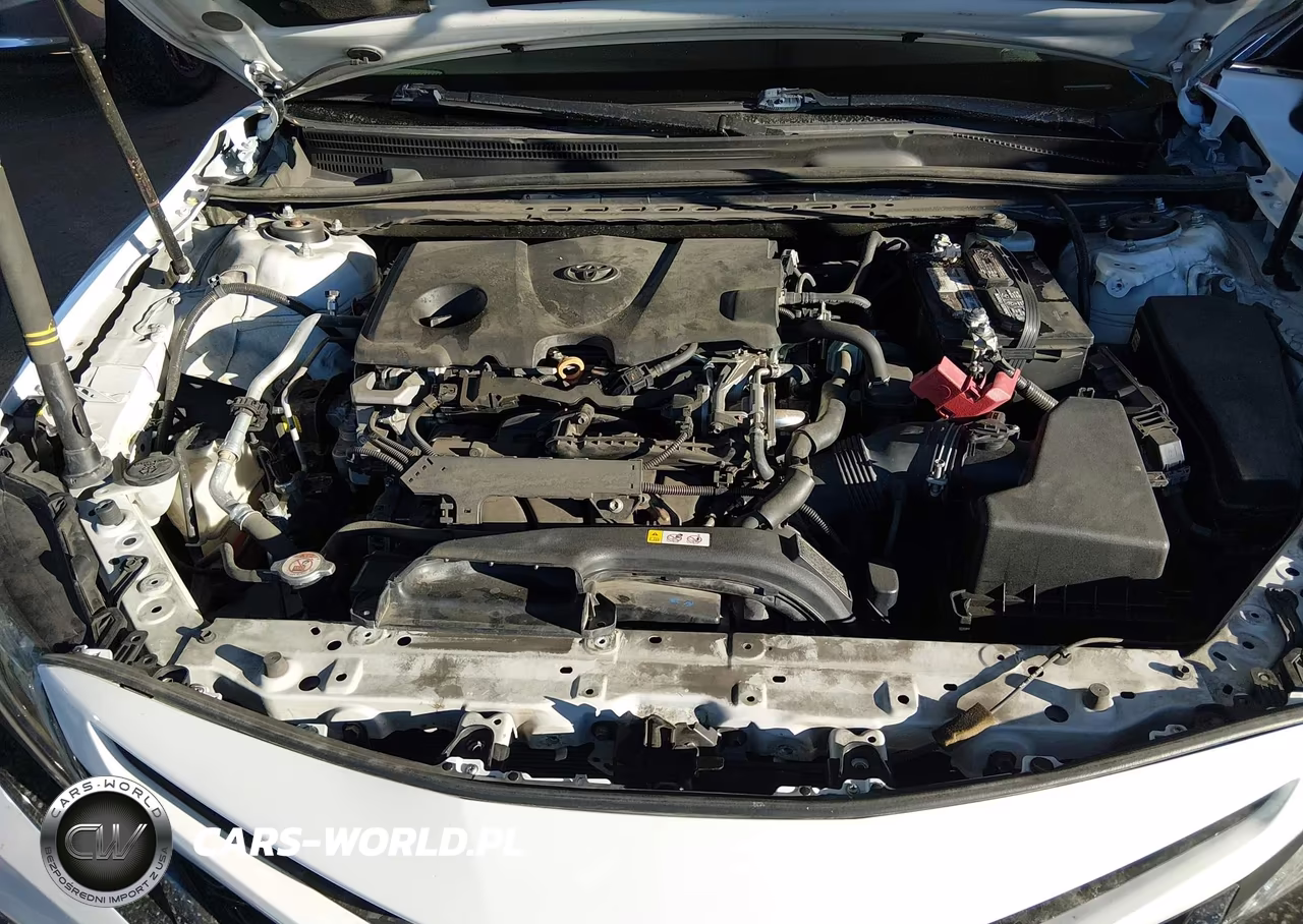 2019 Toyota Camry Xse VIN:4T1B61HK8KU836519 - 10