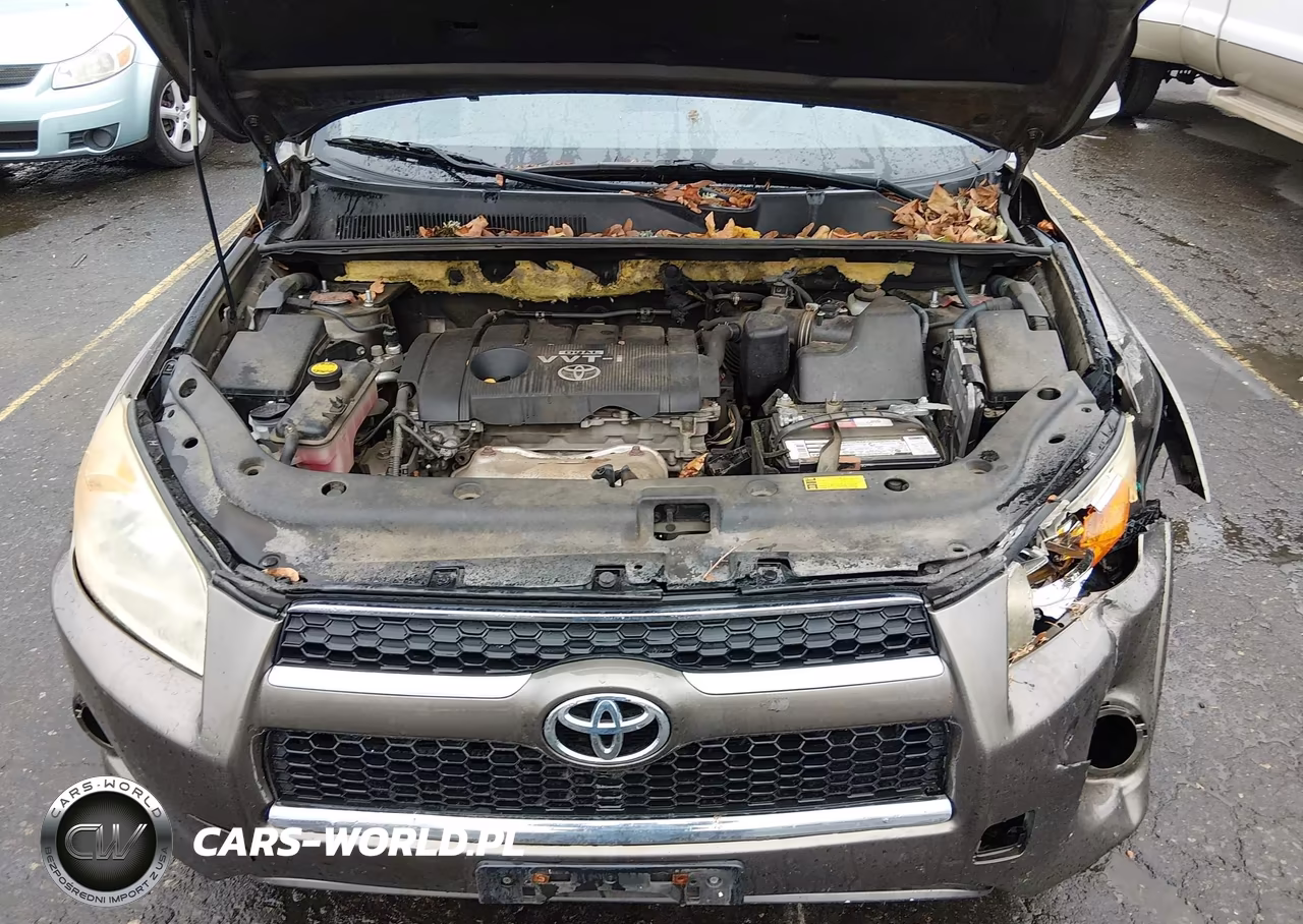 2009 Toyota Rav4 Limited VIN:JTMBF31V495001686 - 10