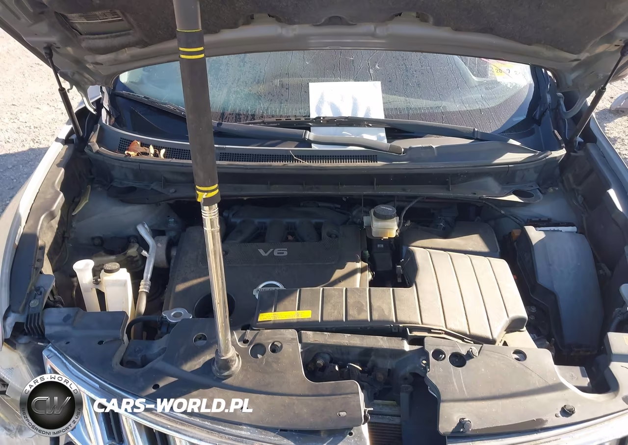 2009 Nissan Murano Le VIN:JN8AZ18W49W110346 - 10