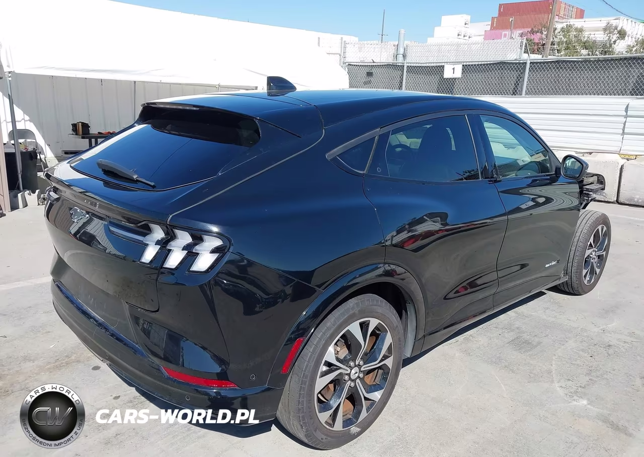 2022 Ford Mustang Mach-E Premium VIN:3FMTK3R70NMA11640 - 4