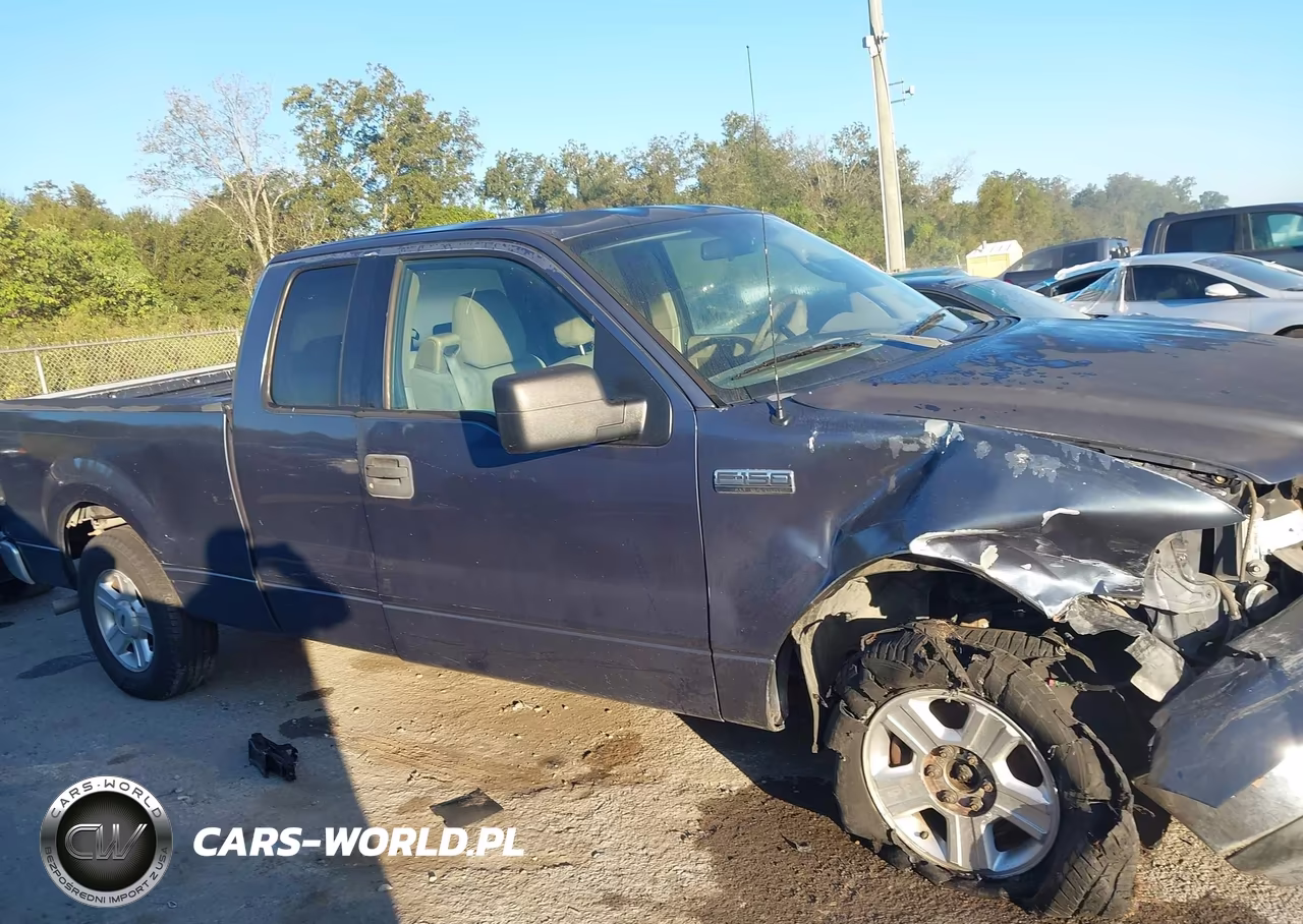 2004 Ford F-150 Lariat-Xl-Xlt VIN:1FTPX12564NA32484 - 13