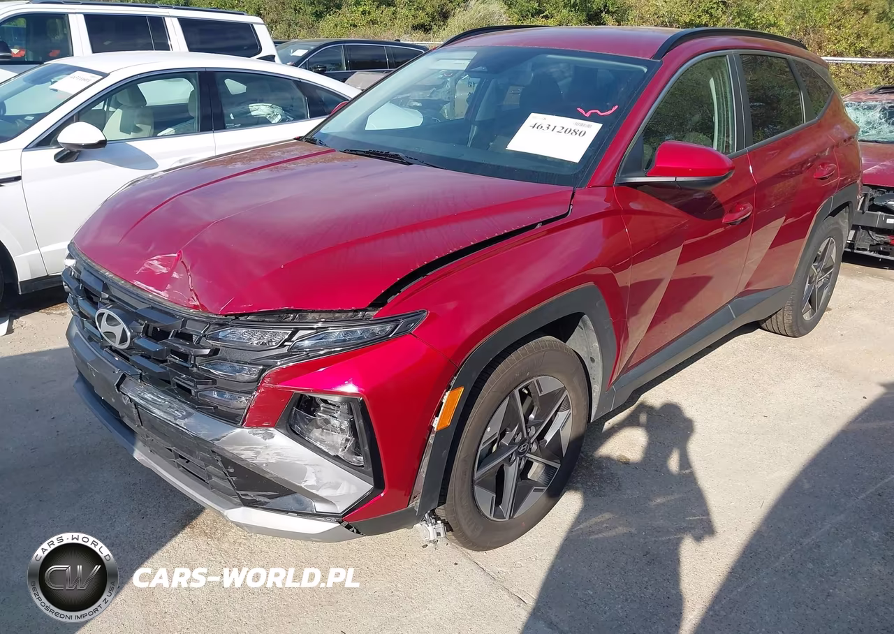 2025 Hyundai Tucson Sel VIN:5NMJB3DEXSH547219 - 2