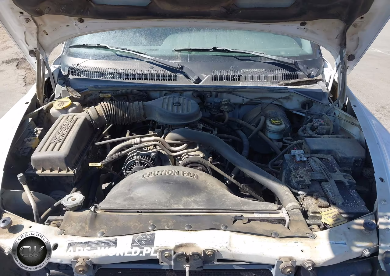 1999 Dodge Dakota Slt-Sport VIN:1B7GL22X5XS104106 - 10