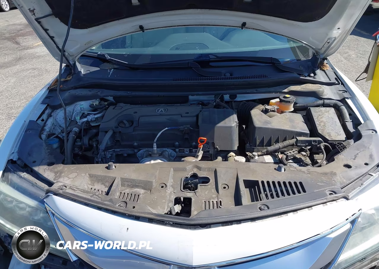 2016 Acura Ilx Premium Package-Technology Plus Package VIN:19UDE2F76GA006698 - 10