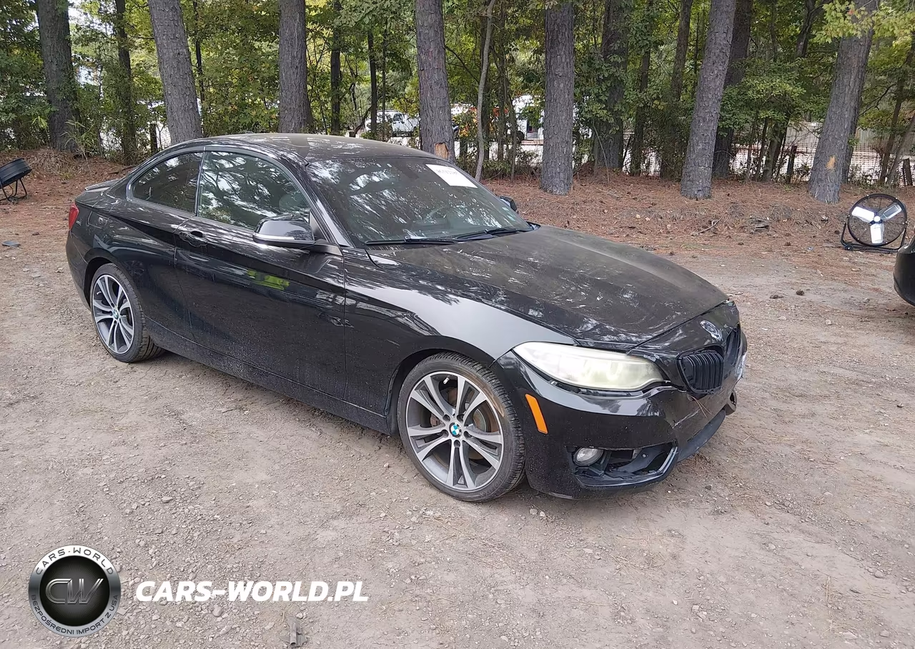 2014 BMW 228I VIN:WBA1F5C50EV256296 - 1