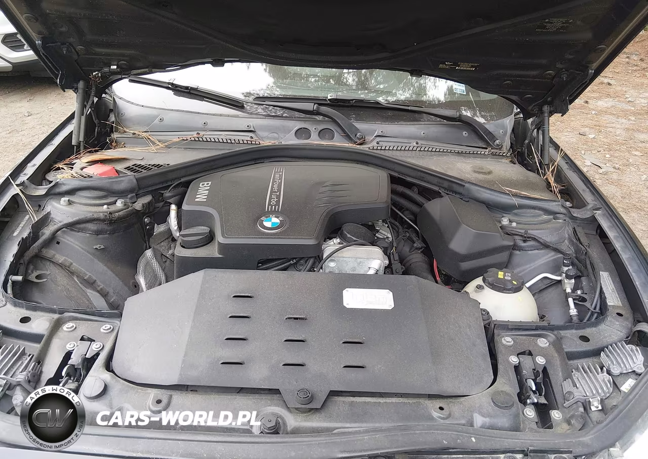 2014 BMW 228I VIN:WBA1F5C50EV256296 - 10