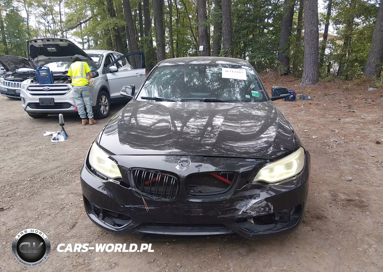 2014 BMW 228I VIN:WBA1F5C50EV256296 - 12