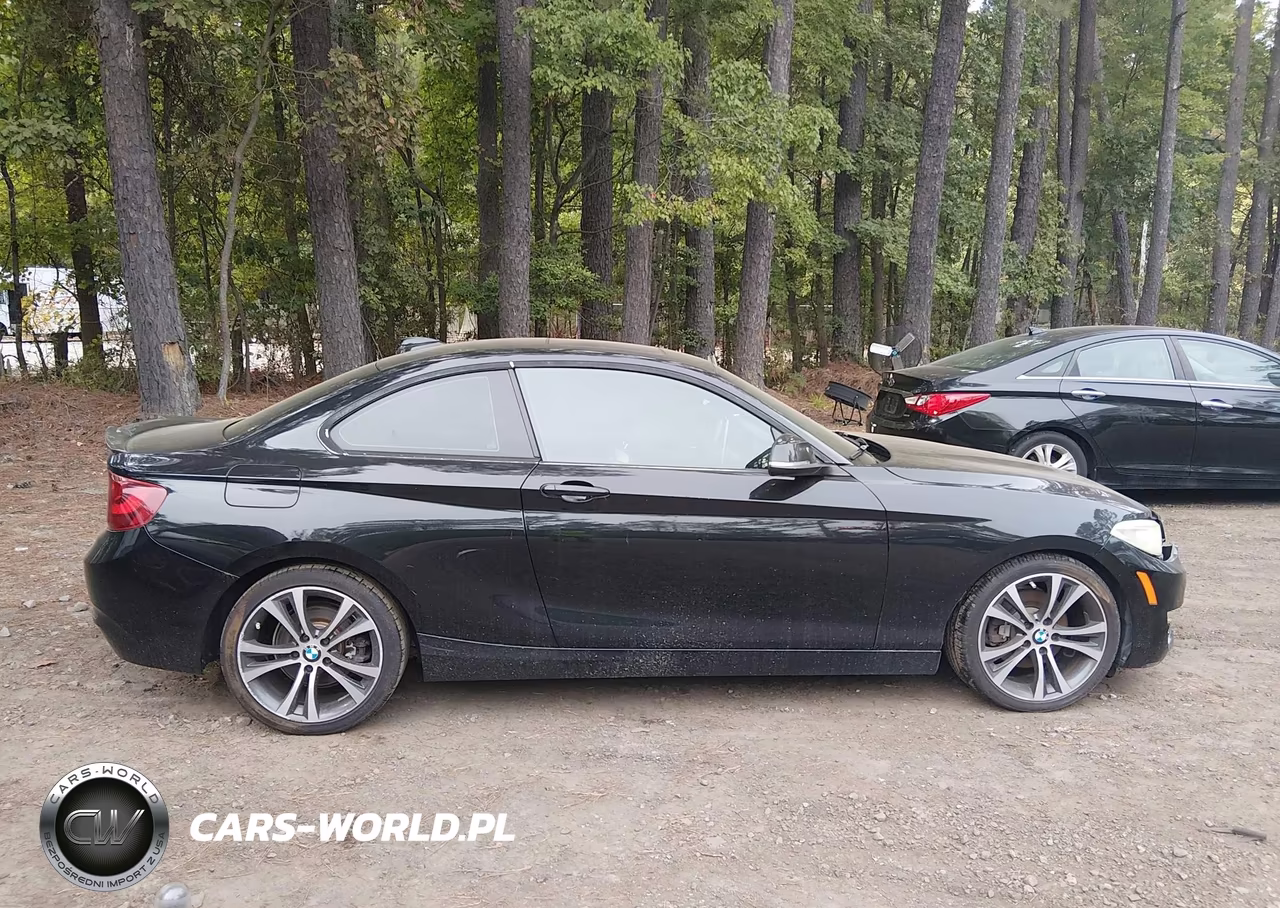 2014 BMW 228I VIN:WBA1F5C50EV256296 - 13