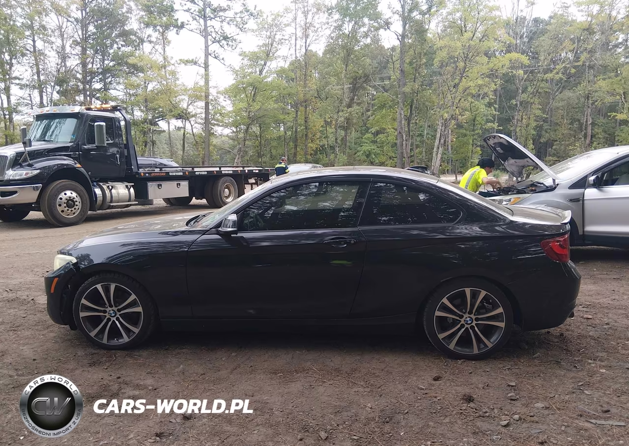 2014 BMW 228I VIN:WBA1F5C50EV256296 - 14