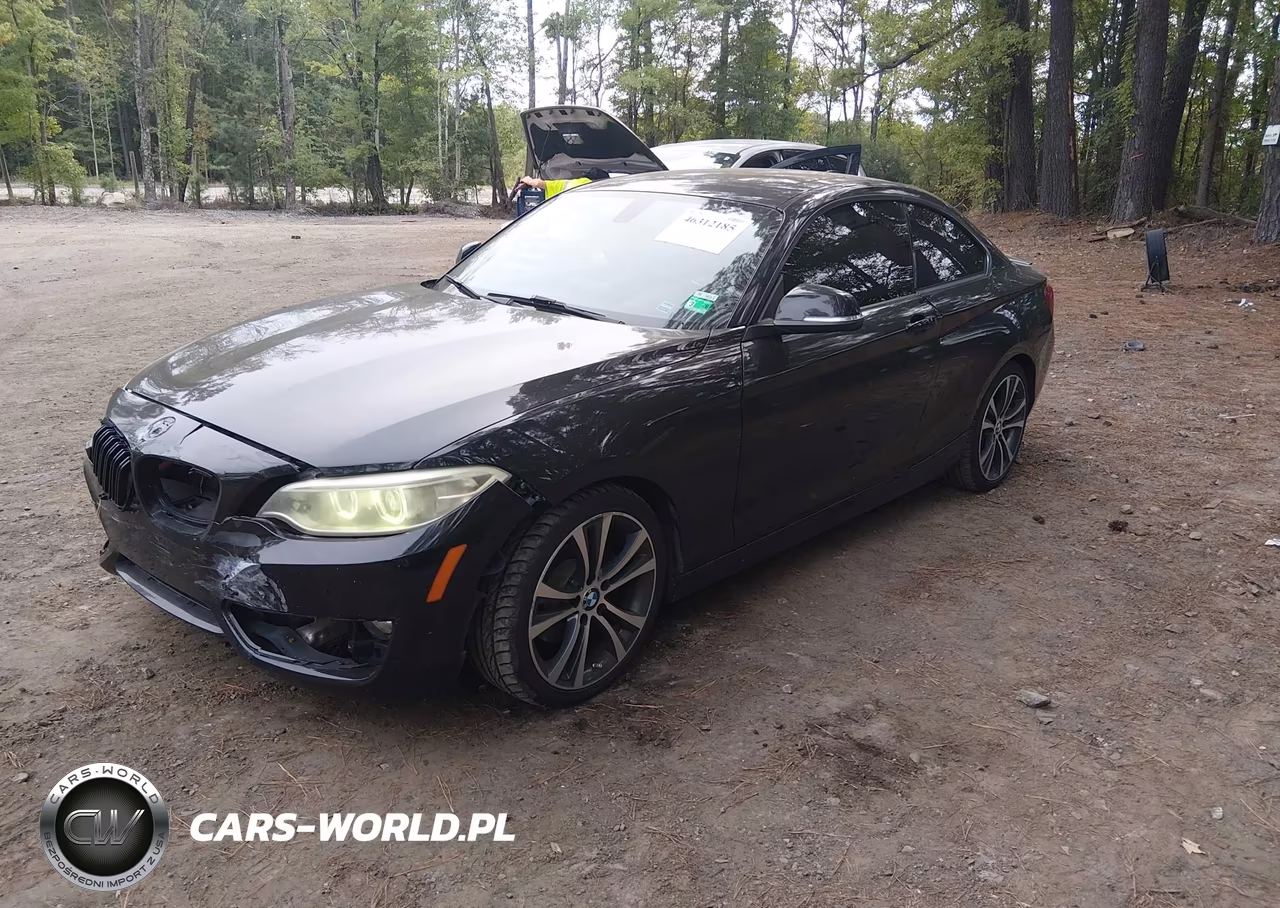 2014 BMW 228I VIN:WBA1F5C50EV256296 - 2