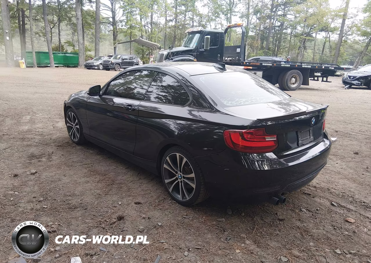 2014 BMW 228I VIN:WBA1F5C50EV256296 - 3