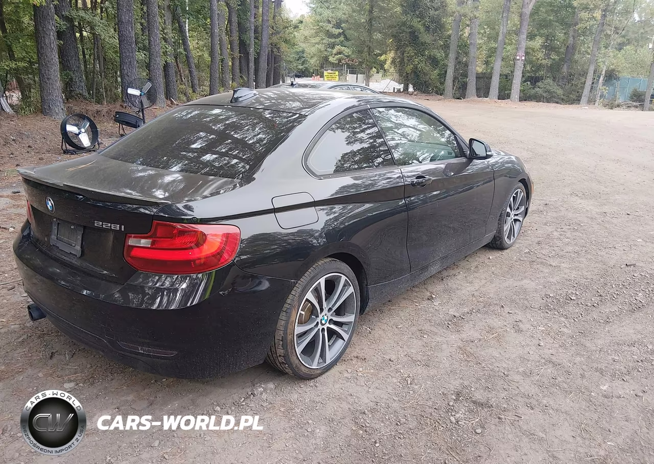 2014 BMW 228I VIN:WBA1F5C50EV256296 - 4