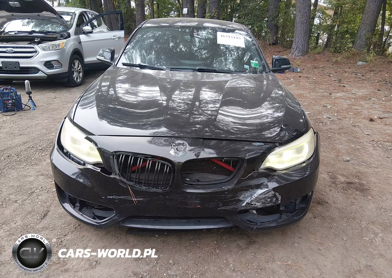2014 BMW 228I VIN:WBA1F5C50EV256296 - 6