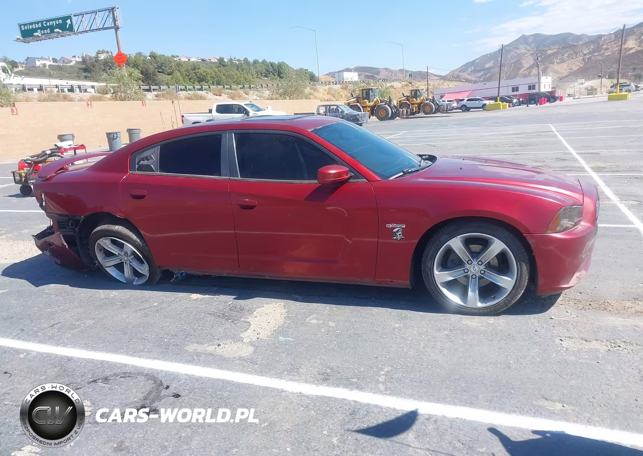 2014 Dodge Charger Sxt 100Th Anniversary VIN:2C3CDXHG0EH295507 - 14