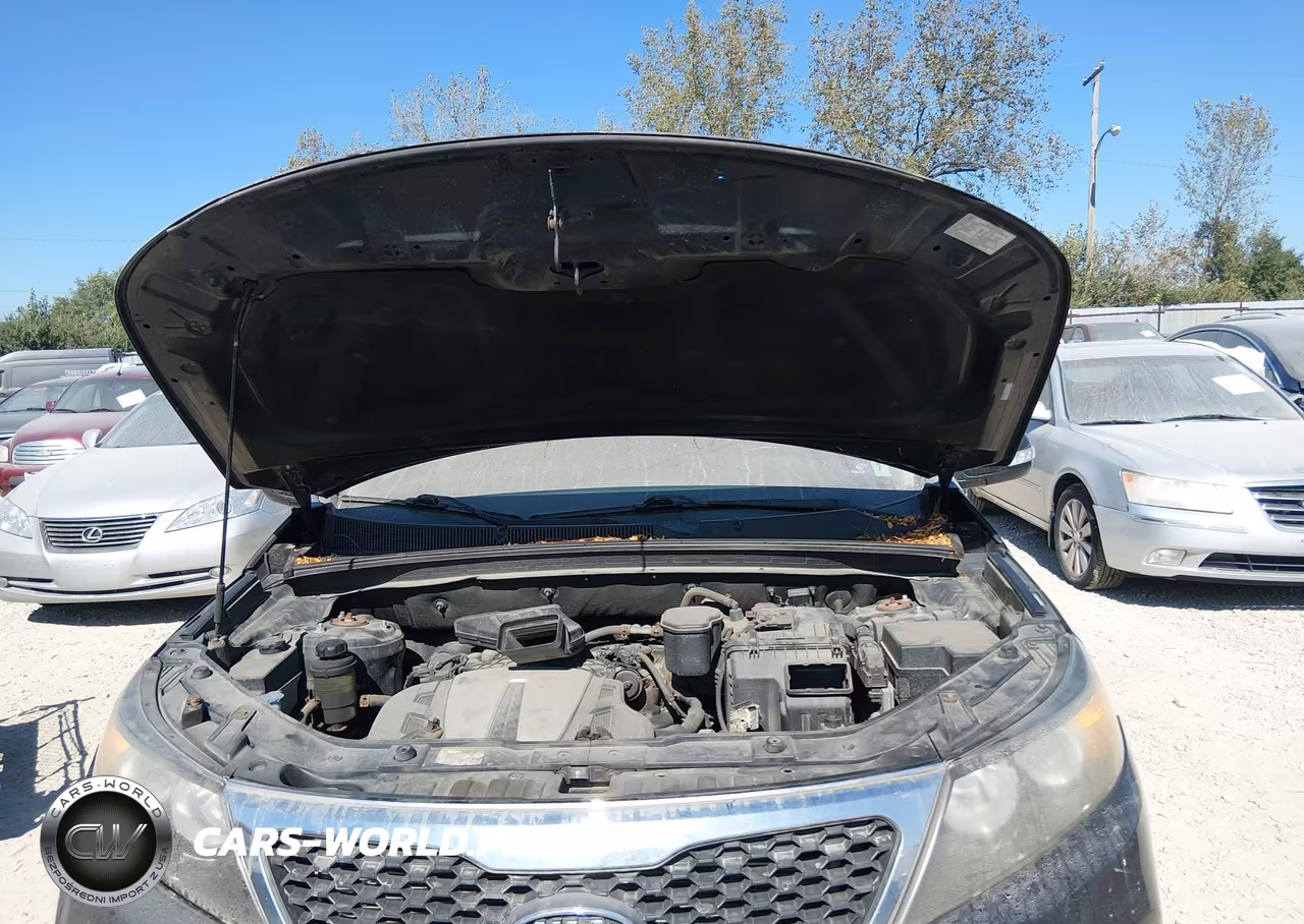 2011 Kia Sorento Ex V6 VIN:5XYKUDA26BG027835 - 10