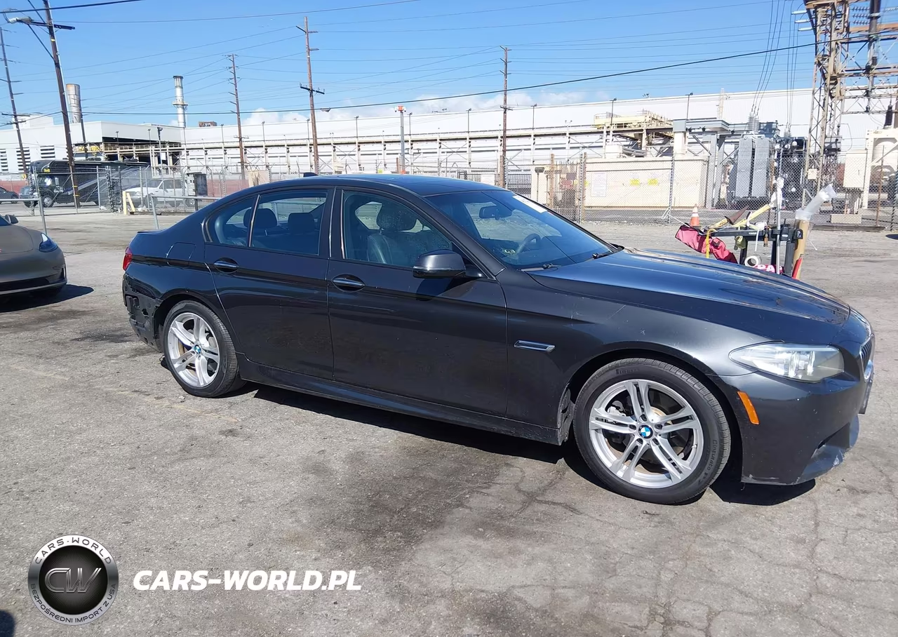 2015 BMW 528I VIN:WBA5A5C55FD520264 - 13