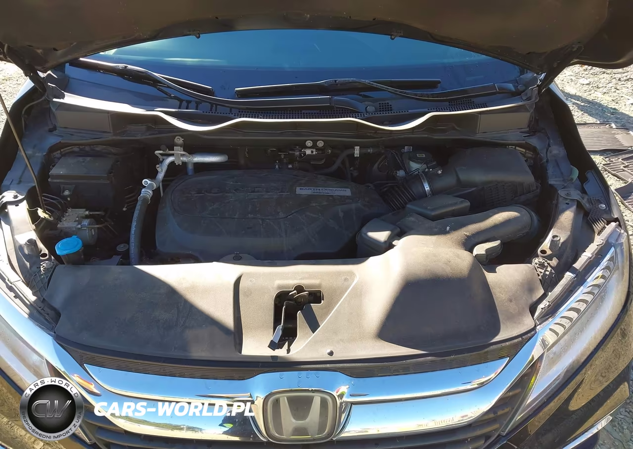 2019 Honda Odyssey Elite VIN:5FNRL6H93KB002978 - 10